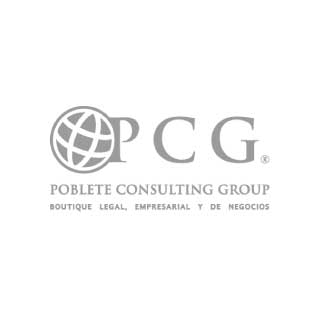 Logo-Sitio-Web-PCG Posicionamiento Web